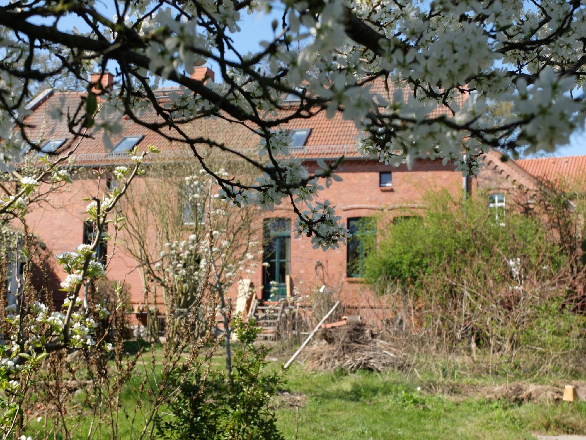 Botanische Botschaft Apartment Strodehne Exterior photo