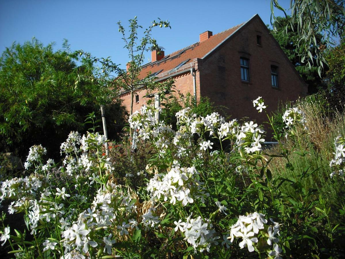 Botanische Botschaft Apartment Strodehne Exterior photo